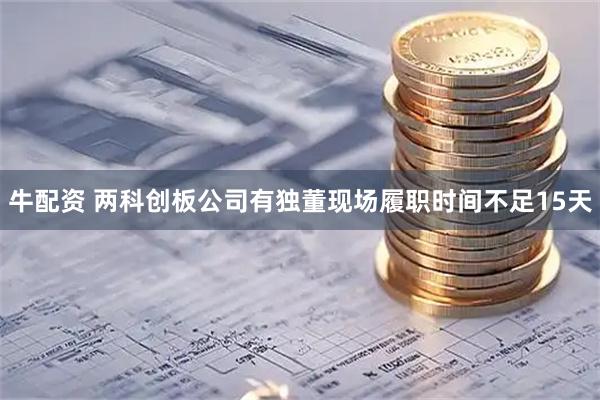牛配资 两科创板公司有独董现场履职时间不足15天