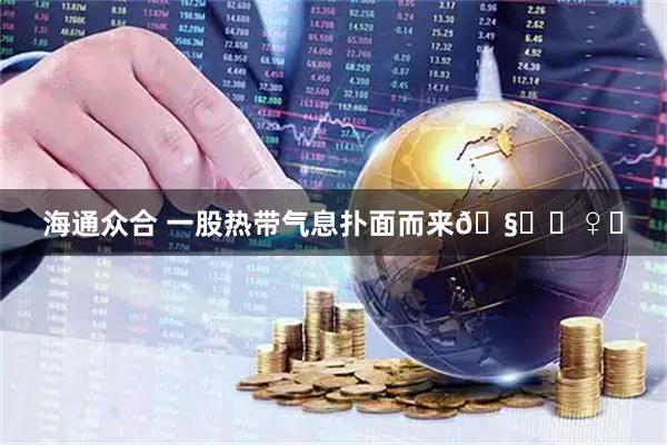 海通众合 一股热带气息扑面而来🧚‍♀️