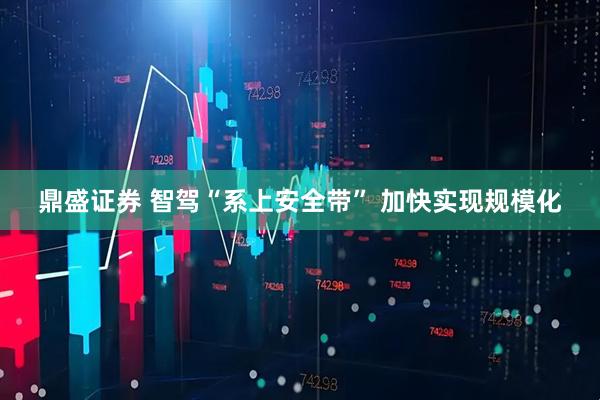 鼎盛证券 智驾“系上安全带” 加快实现规模化
